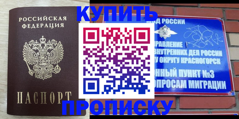 прописка гарантия в Канаше